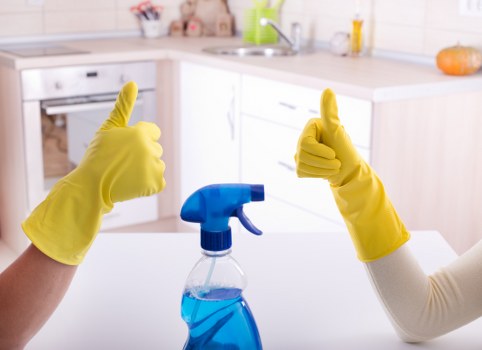 Carpet cleaning technician preparing equipment for a domestic service