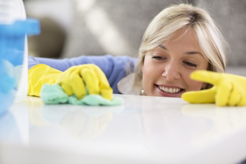 Final safety check after professional carpet cleaning