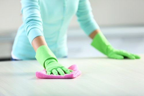 Deep cleaning process for pet odour removal on upholstery