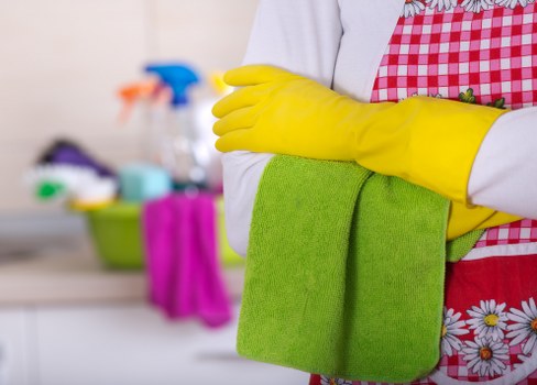 Steam carpet cleaning in Woodlands for home and commercial flooring