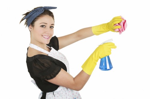 Professional carpet cleaning process in progress inside a home