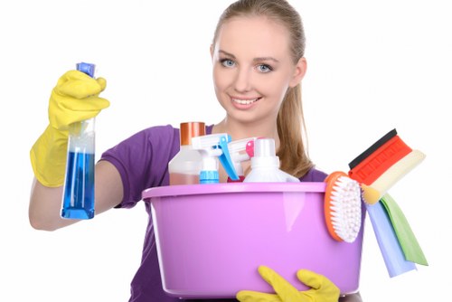 Inclusive web design elements for Woodlands Carpet Cleaners